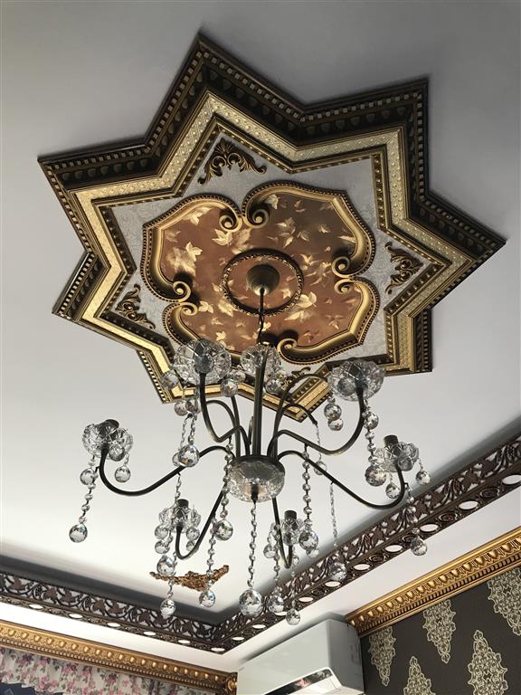 Saray Tavan